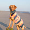 Ruff and Tumble sušilni plašč za pse - plaža - S psom na pot