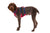 Ruffwear Flagline™ ultralahka oprsnica z ročajem - Alpenglow Pink - S psom na pot