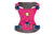 Ruffwear Hi & Light™ ultralahka oprsnica - Alpenglow Pink - S psom na pot