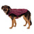 Ruffwear Overcoat Fuse™ jakna z vgrajeno oprsnico - Purple Rain - S psom na pot