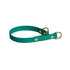 S psom na pot x 4hound BioThane® martingale ovratnica - zeleno-modra