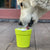 Sodapup Flower Pot zaposlitvena igrača - S psom na pot