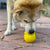 Sodapup Honey Pot zaposlitvena igrača - S psom na pot